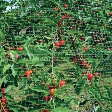 Tinklas nuo paukščių ir kurmių 4x10m ORTOAMICA 5